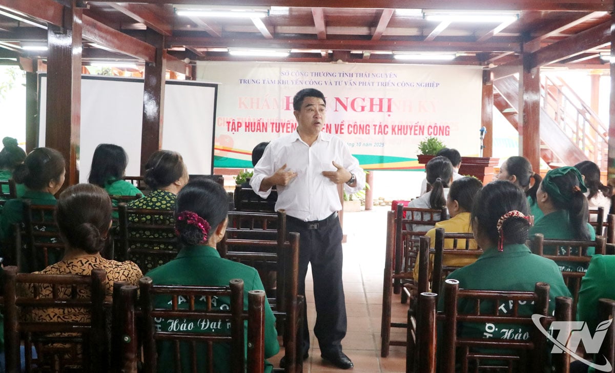 Föreläsare förmedlar kunskap på utbildning i industriell befordran.