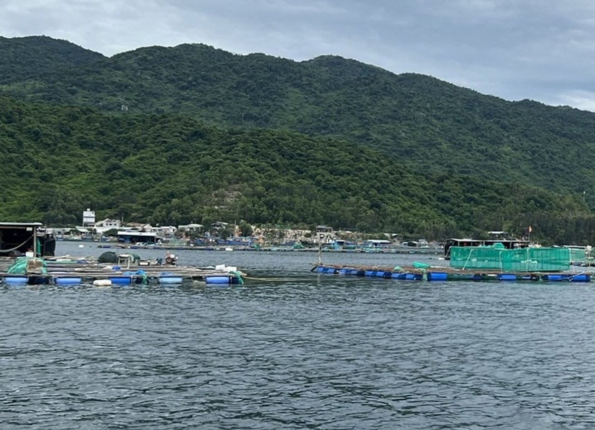 UBND tỉnh Đắk Lắk yêu cầu tổ chức thu hoạch diện tích nuôi trồng thủy hải sản đạt kích cỡ thương phẩm, giảm thiểu thiệt hại. Ảnh: Trần Thọ.