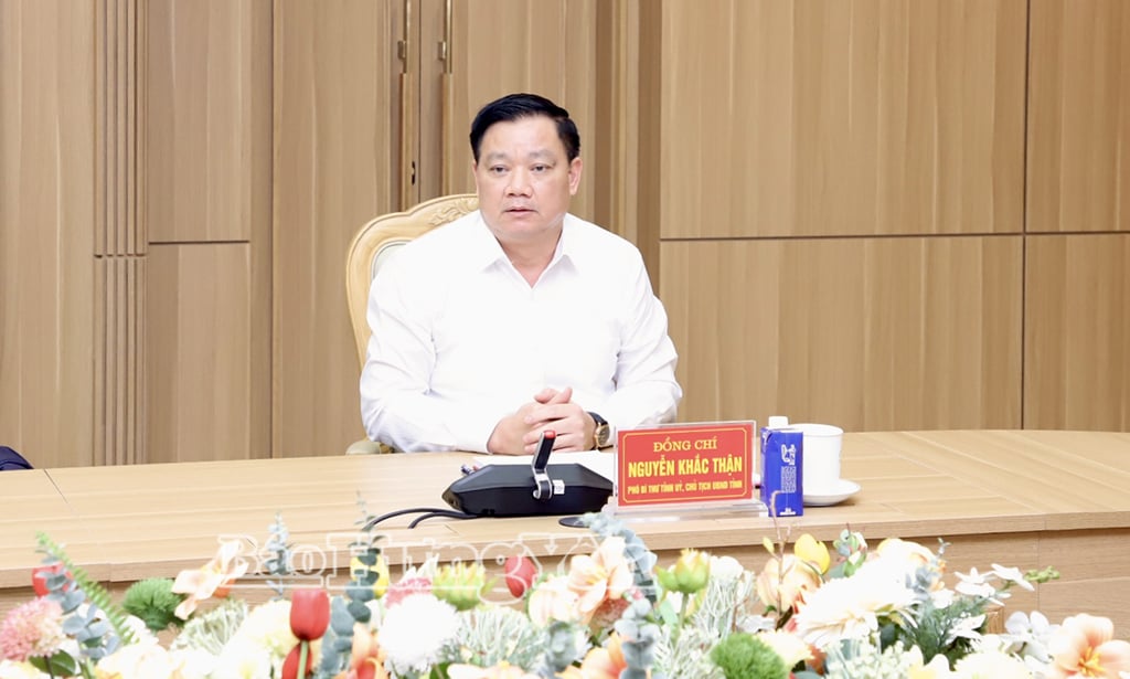 Chairman of the Provincial People's Committee Nguyen Khac Than spoke at the meeting.