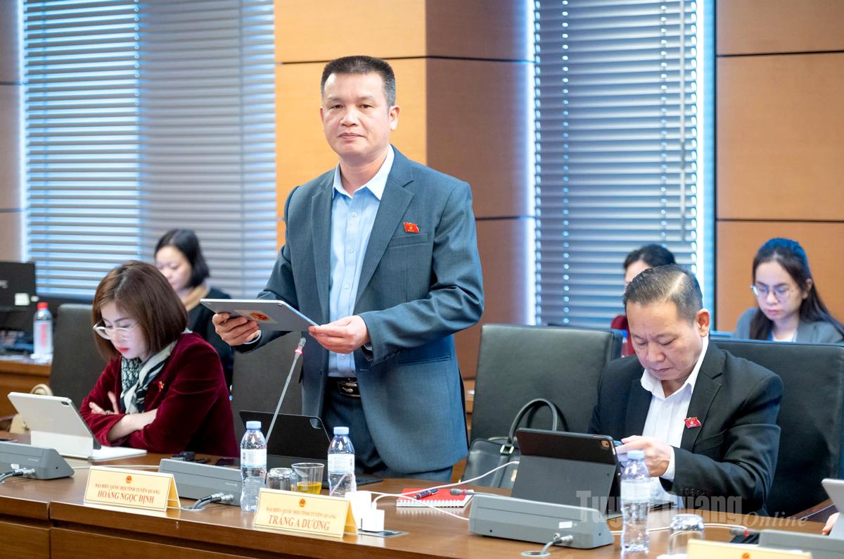 Delegaten Hoang Ngoc Dinh talade i diskussionen.