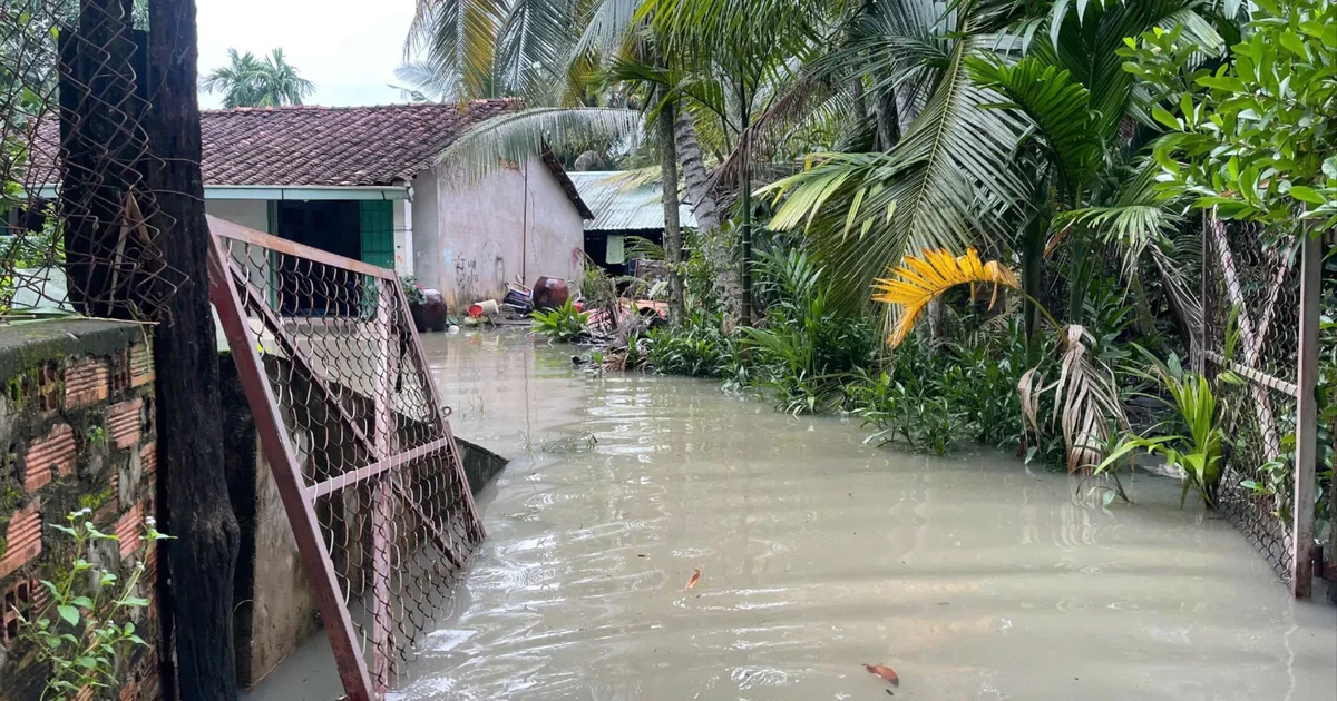 Nam bộ sắp xuất hiện kỳ triều cường mới, nguy cơ ngập diện rộng