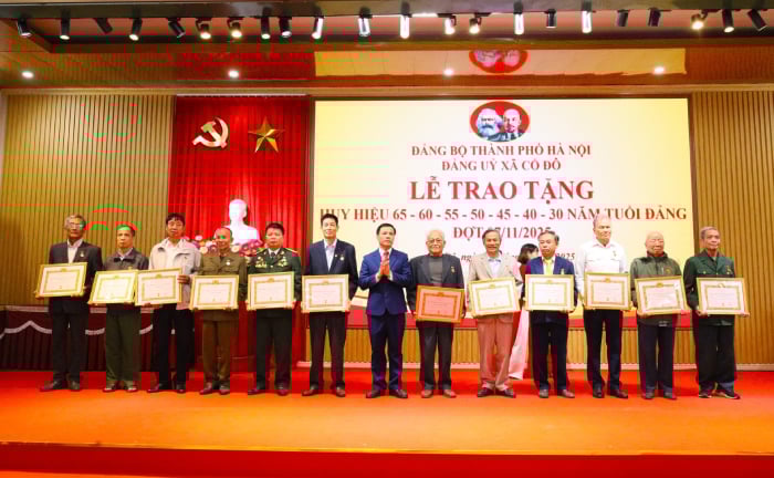 Xã Cổ Đô trao Huy hiệu Đảng đợt 7/11 cho 62 Đảng viên- Ảnh 2.