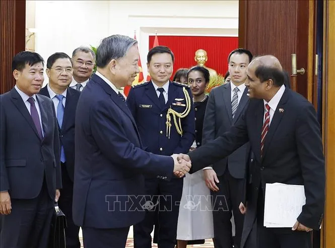 Việt Nam - Singapore hướng tới quan hệ mẫu mực trong khu vực- Ảnh 1.