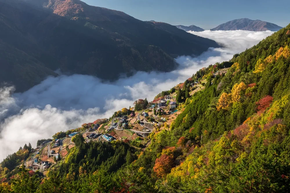 Houses and terraced fields cling to the steep mountainside in Shimoguri no Sato village.