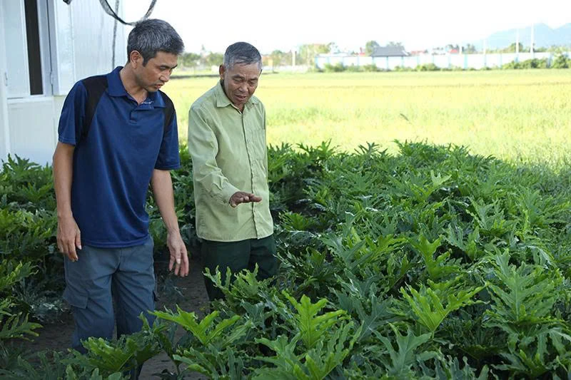 Helhjärtat för folket, hängiven byn