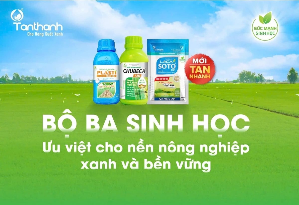 'Bộ ba sinh học' của Công ty TNHH TM Tân Thành – giải pháp ưu việt giúp canh tác lúa an toàn, năng suất cao, hướng đến nền nông nghiệp xanh và bền vững. Ảnh: Lê Hoàng Vũ.