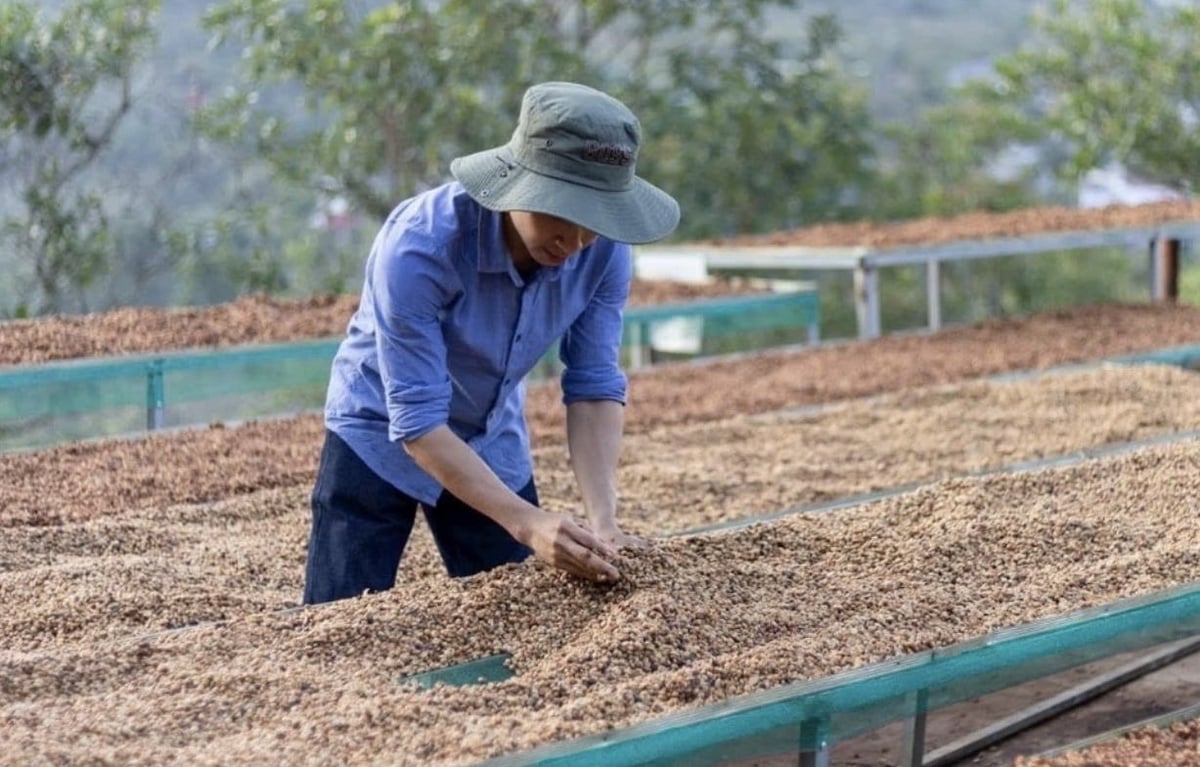Lãnh đạo Sở Nông nghiệp và Môi trường tỉnh Lâm Đồng, cho biết cơ quan sẽ chủ trì triển khai các quy định quản lý chỉ dẫn địa lý, phối hợp với doanh nghiệp, hợp tác xã và nông dân để xây dựng chuỗi giá trị bền vững, kiểm soát chất lượng và phát triển thị trường xuất khẩu. Ảnh: Phạm Hoài.