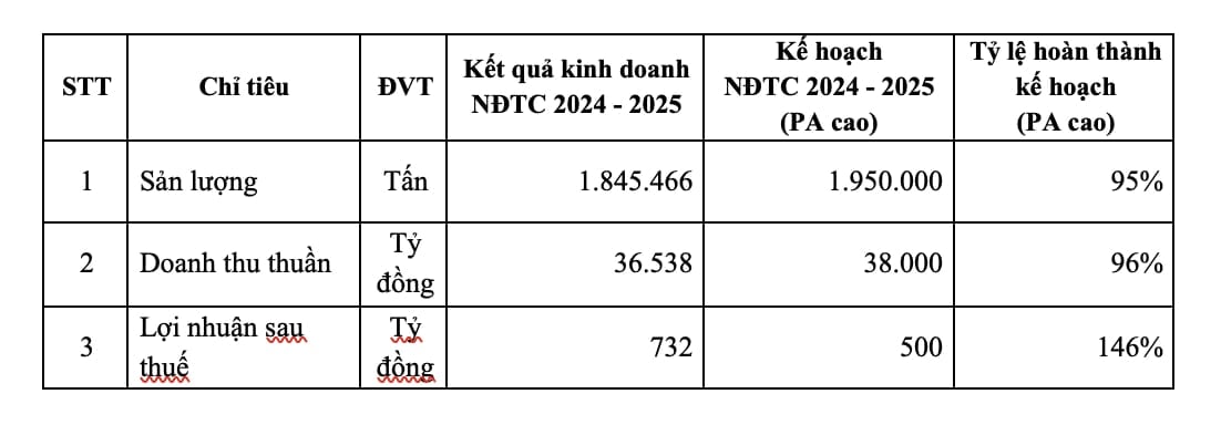 טבלת סיכום של תוצאות העסקיות המאוחדות של HSG לשנת הכספים 2024-2025. Bảng tổng hợp kết quả kinh doanh hợp nhất của HSG niên độ tài chính 2024 - 2025.
