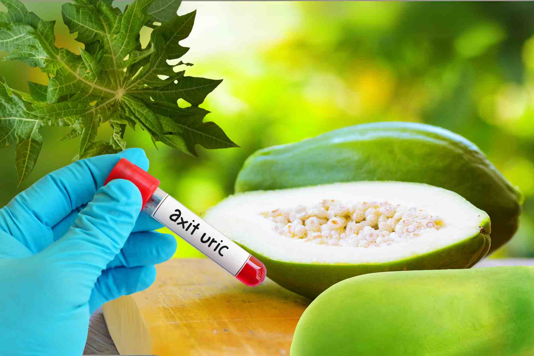 Ăn đu đủ xanh giúp kiểm soát axit uric đúng không?