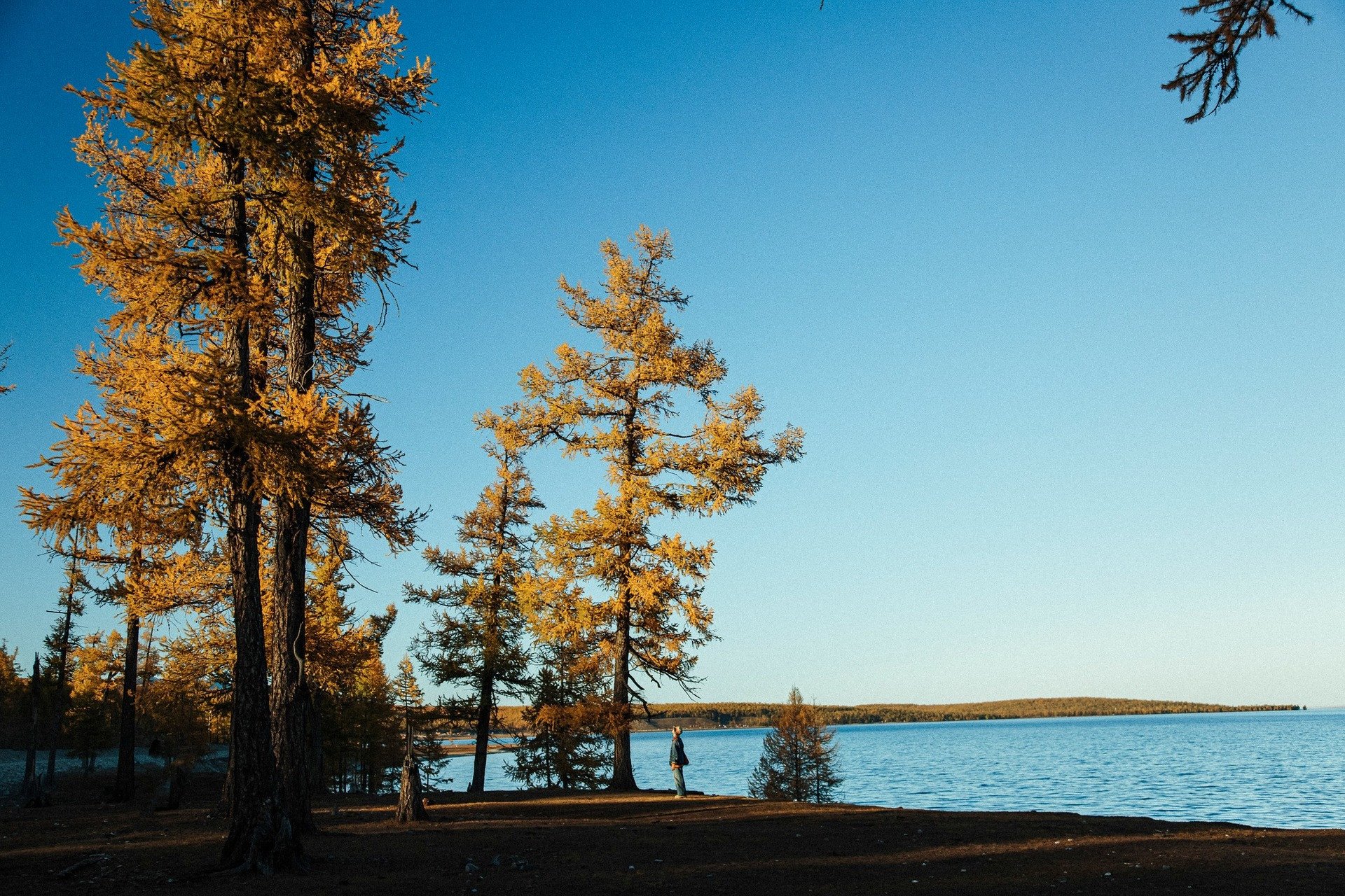 Mongolië reizen.jpg