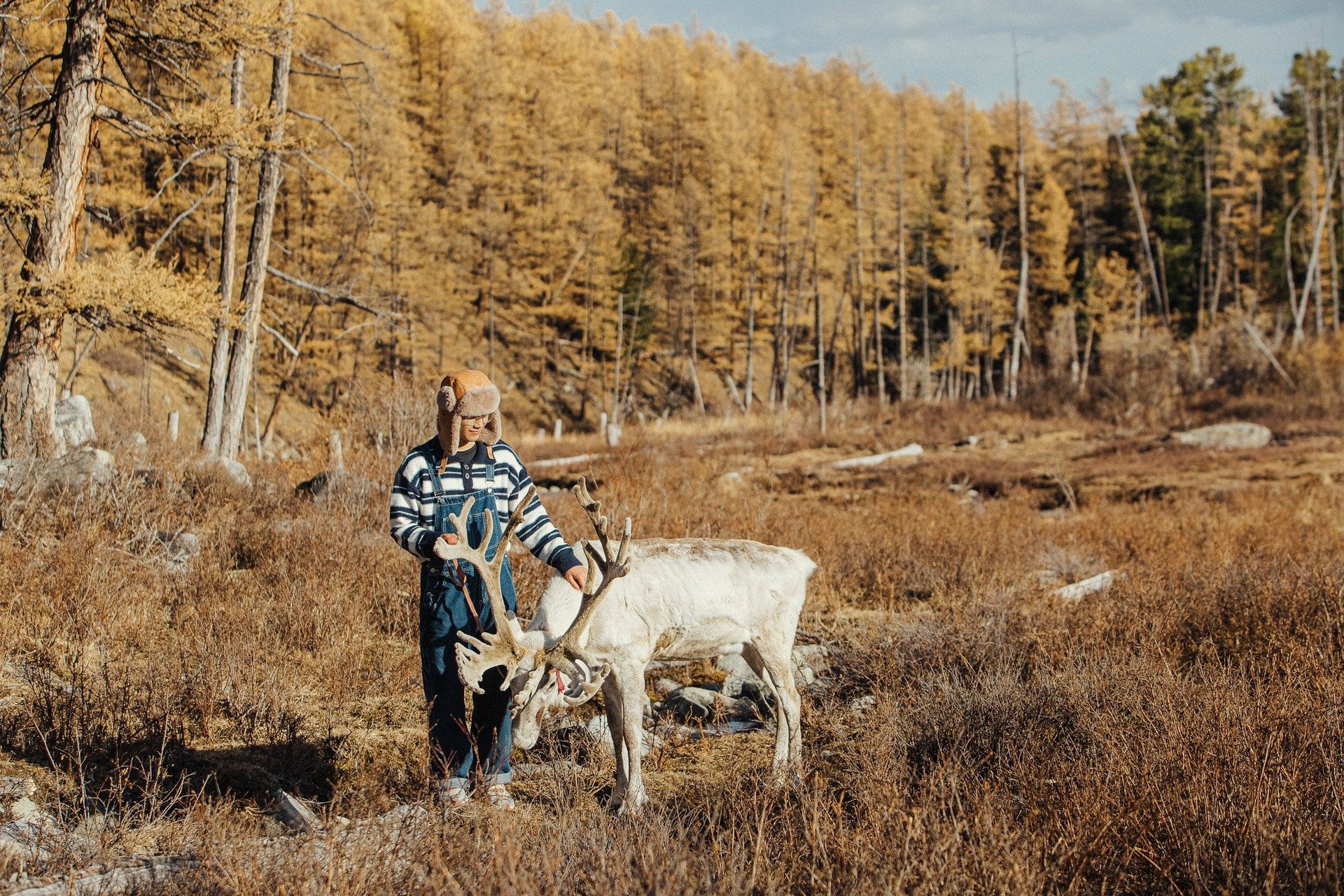 Mongolië reizen 2.jpg