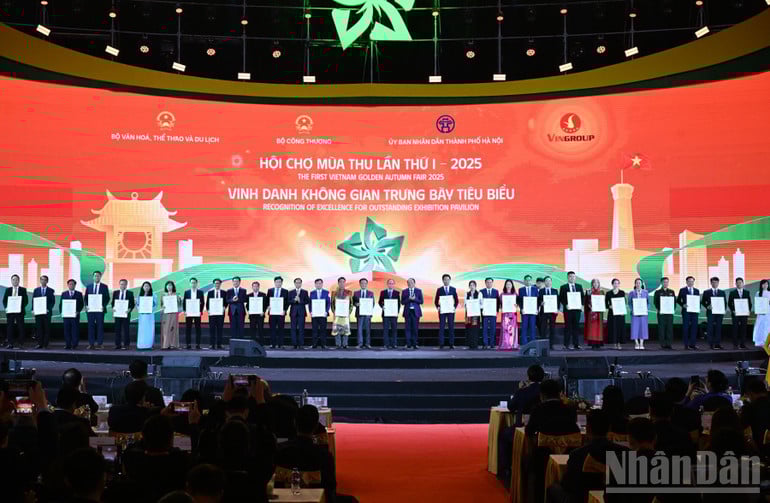 Homenageando espaços de exposição excepcionais. (Foto: TRAN HAI)