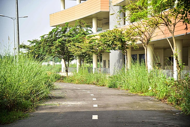 ہو چی منہ شہر کا سب سے بڑا ہسپتال کب کام کرے گا؟ - تصویر 2۔ Bệnh viện lớn nhất TP.HCM khi nào hoạt động? - Ảnh 2.