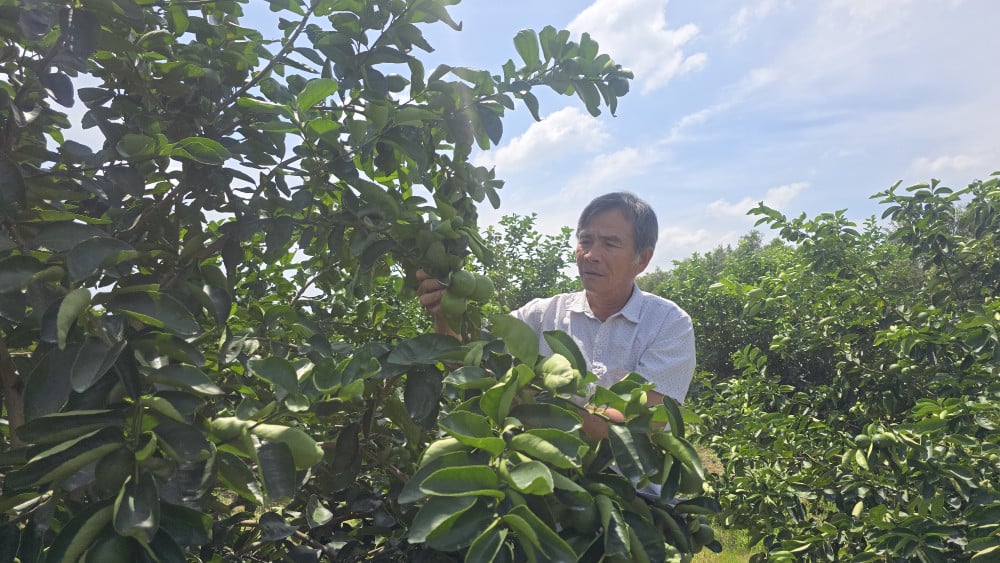 Δημιουργία νέων αγροτικών περιοχών με σύγχρονο τρόπο