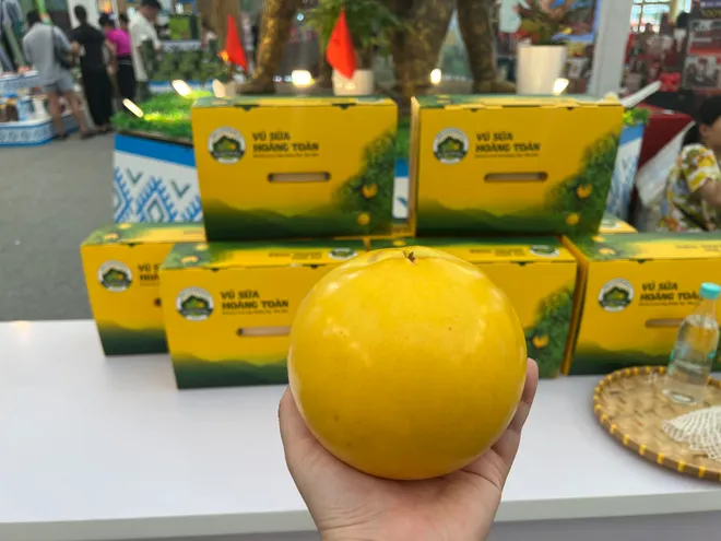 Hội chợ Mùa Thu 2025: Cầu nối đưa nông sản Việt chinh phục thị trường trong và ngoài nước - Ảnh 7.