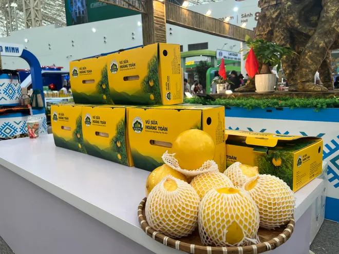 Hội chợ Mùa Thu 2025: Cầu nối đưa nông sản Việt chinh phục thị trường trong và ngoài nước - Ảnh 8.