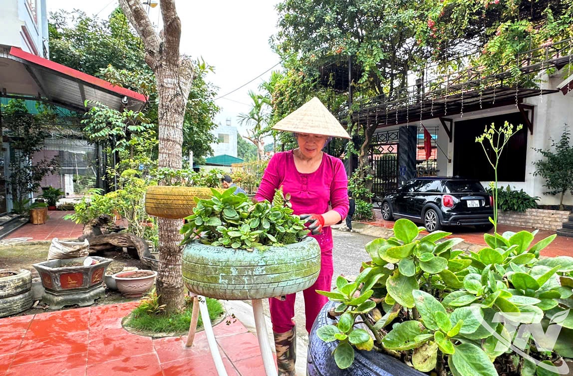 박칸구 7A군 주민들은 주거 지역의 장식용 식물을 청소하고 관리합니다.