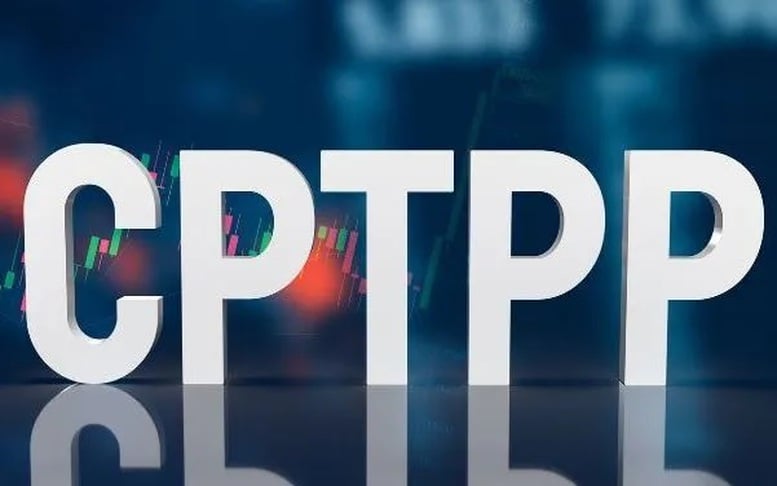 جاذبية الشراكة عبر المحيط الهادئ قبل  Sức hút CPTPP trước 'làn sóng' gia nhập- Ảnh 1.