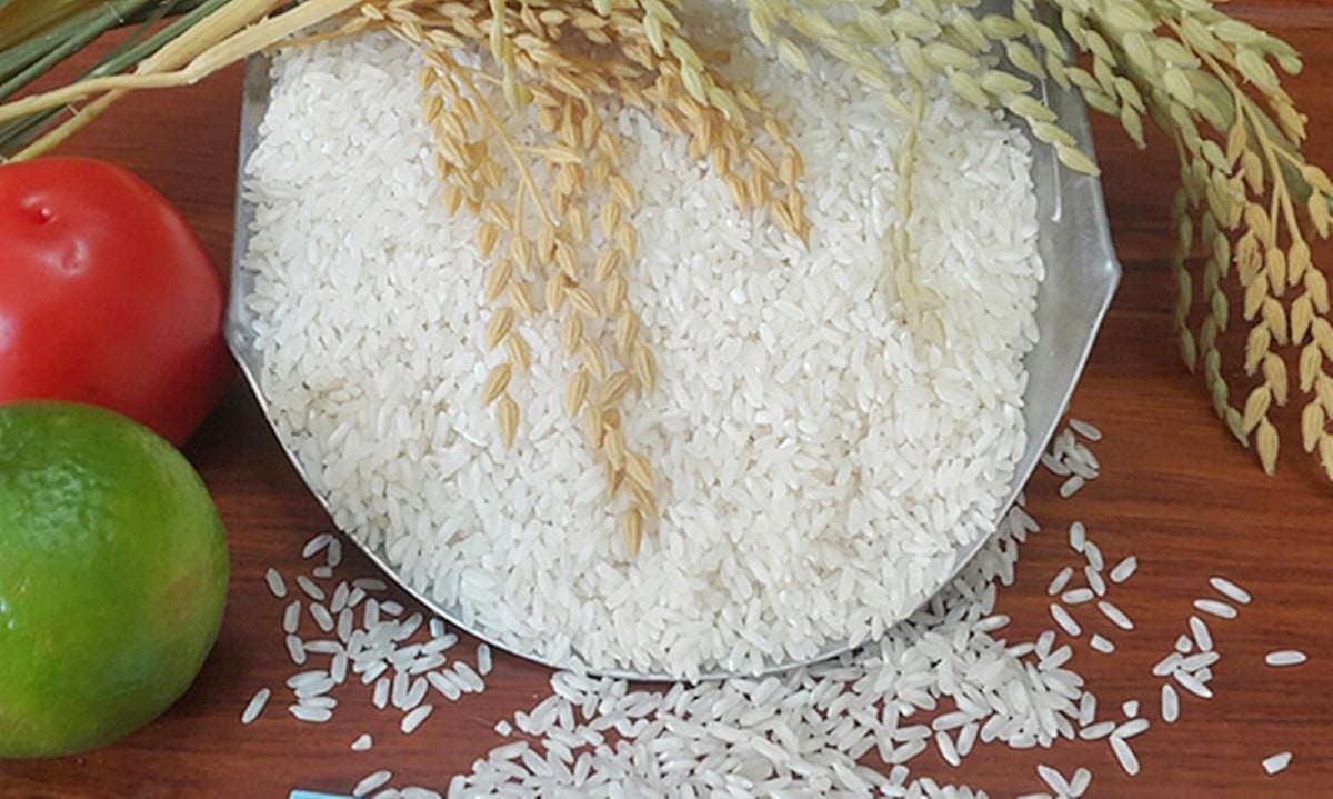 تحديث سعر الأرز اليوم 11/4/2025 الأحدث Cập nhật giá lúa gạo hôm nay 4/11/2025 mới nhất