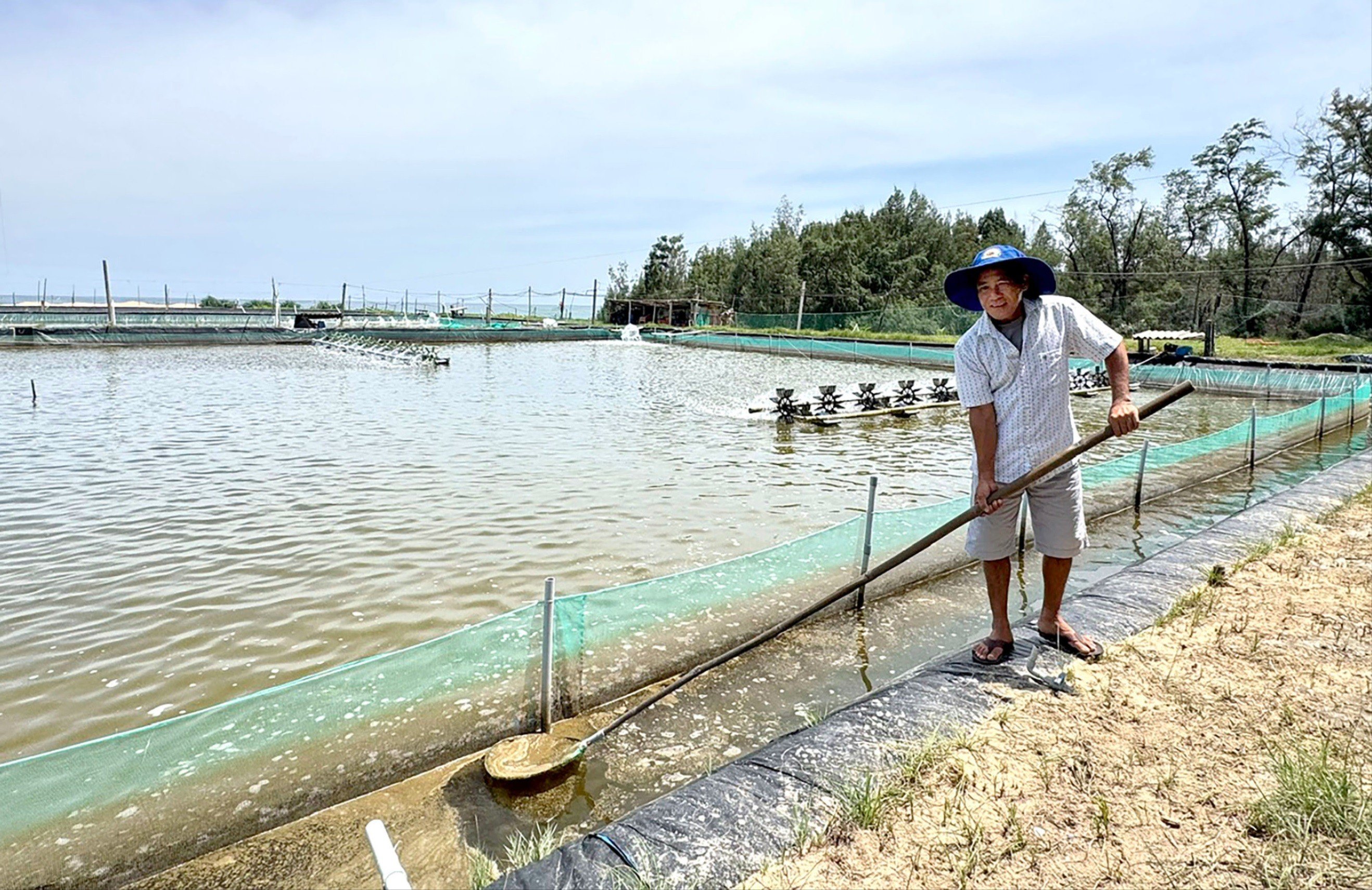 Anh Lê Văn Liễu, ở phường Trà Câu nghỉ làm biển chuyển sang nuôi ốc hương, tôm.