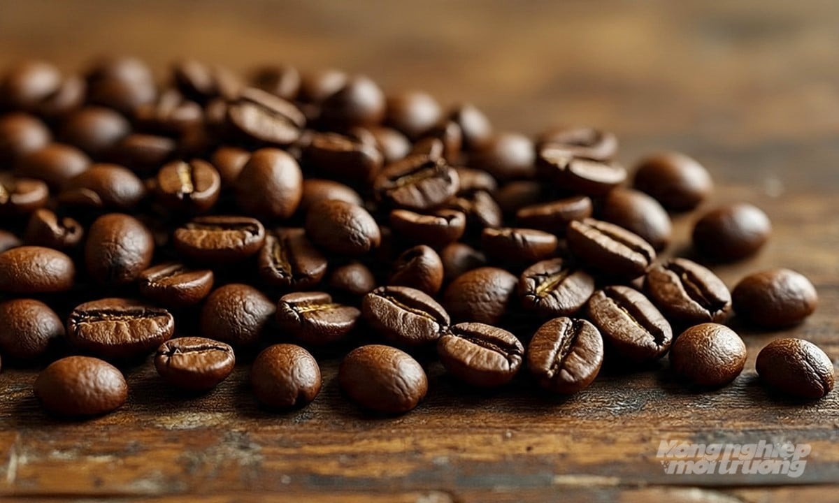 Giá cà phê hôm nay 4/11/2025 ở trong nước và thế giới mới nhất