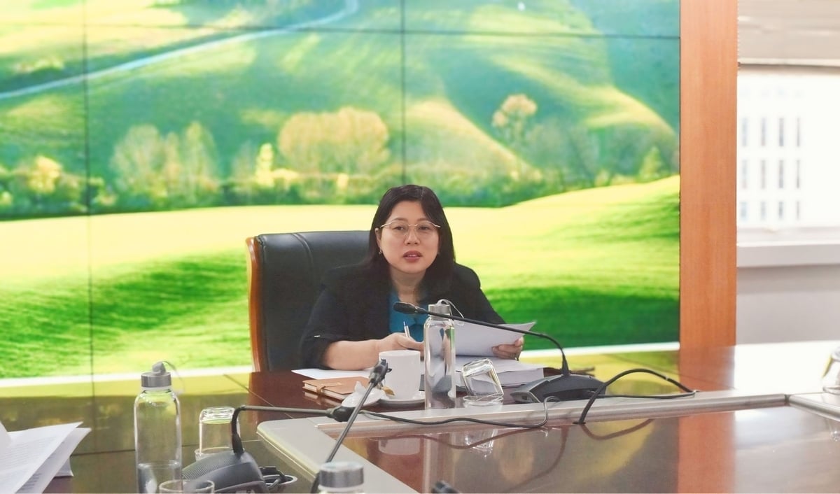 Thứ trưởng Nguyễn Thị Phương Hoa yêu cầu Cục Biển và Hải đảo Việt Nam phối hợp chặt chẽ với thành phố Hải Phòng và tỉnh Quảng Ninh, bảo đảm các mục tiêu, chỉ tiêu của Đề án phù hợp với Nghị quyết đại hội đảng bộ hai địa phương, các chỉ tiêu Trung ương giao và định hướng phát triển vùng đồng bằng sông Hồng. Ảnh: Trường Giang.