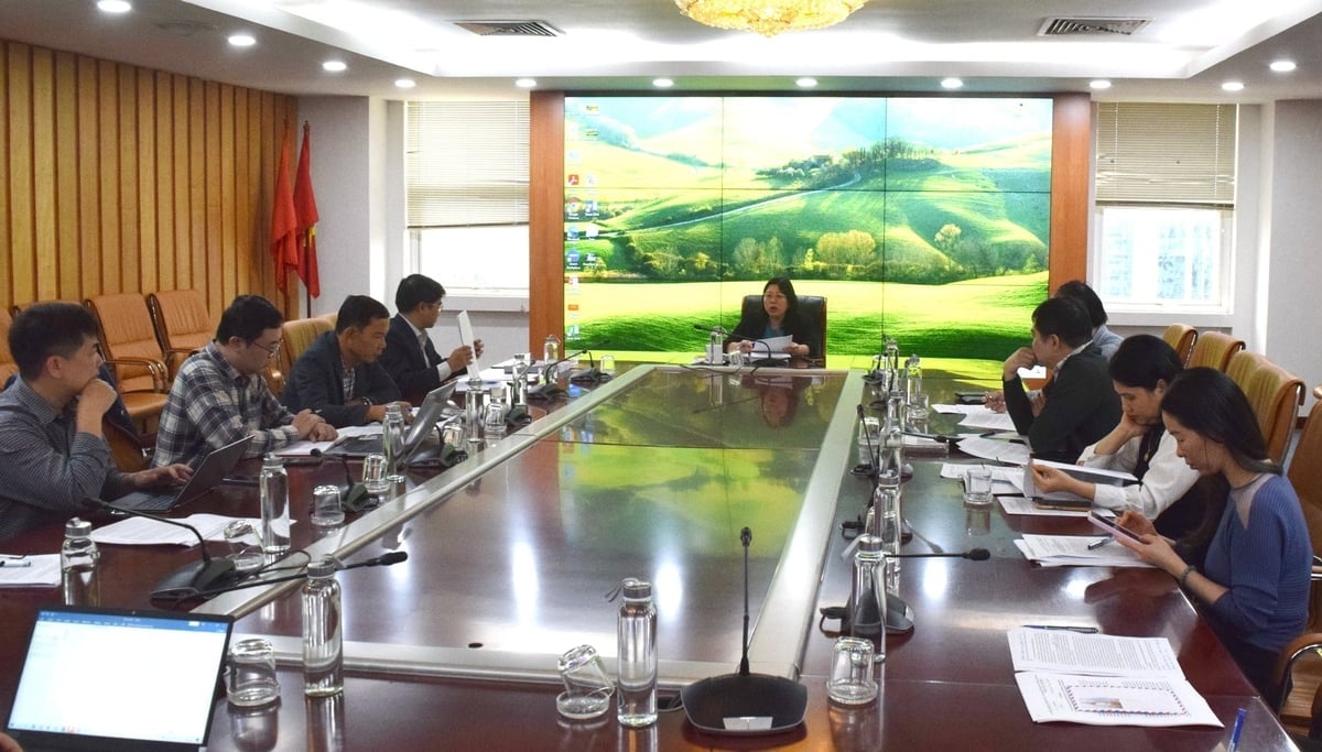 Mục tiêu của Đề án đến năm 2030 là xây dựng khu vực Hải Phòng - Quảng Ninh trở thành trung tâm kinh tế biển hàng đầu Đông Nam Á, gồm các khu kinh tế, khu thương mại tự do, đô thị thông minh, thích ứng với biến đổi khí hậu; trung tâm nghiên cứu và đổi mới sáng tạo về kinh tế biển. Ảnh: Trường Giang.