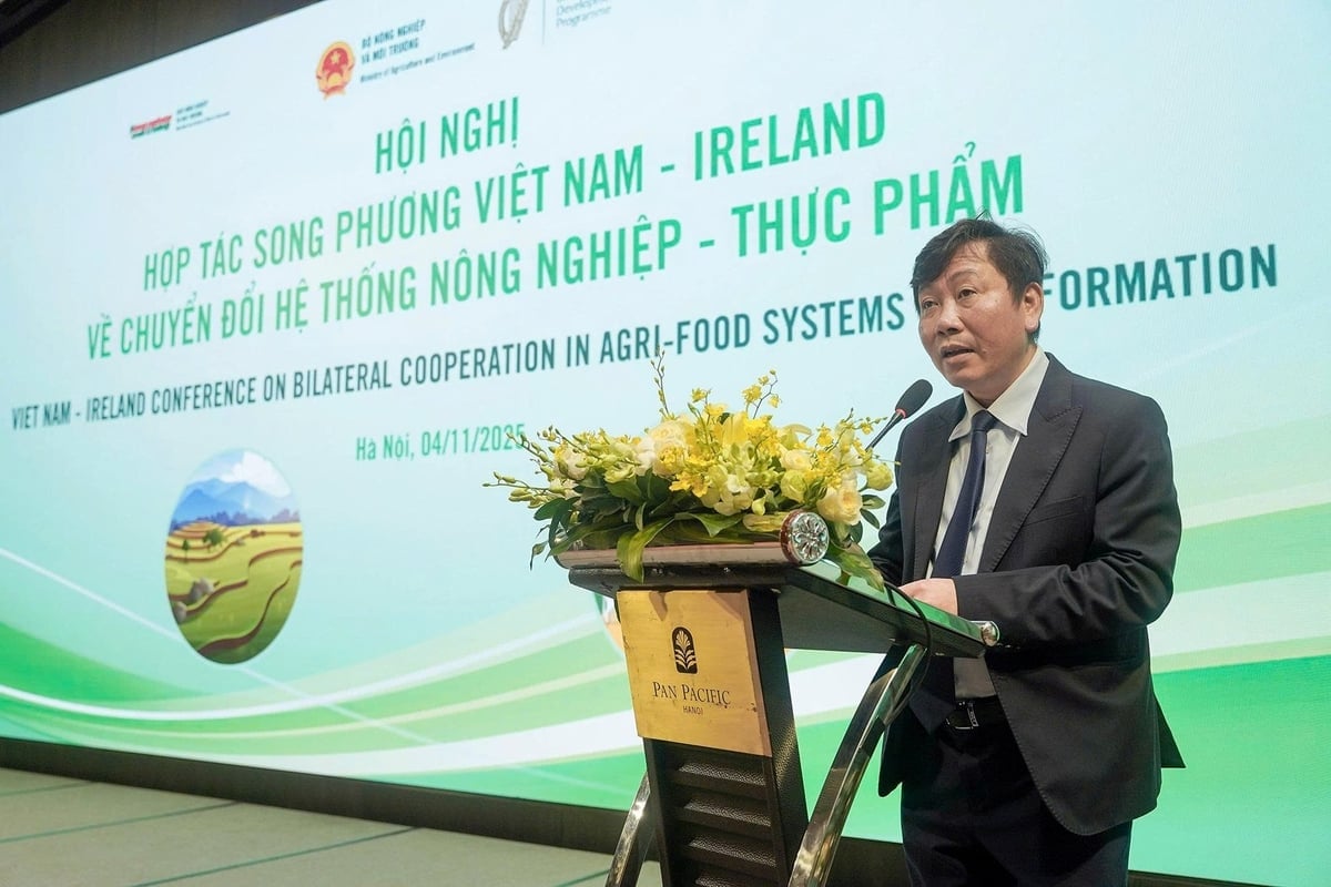 Direktören för avdelningen för internationellt samarbete, Nguyen Do Anh Tuan, talar vid konferensen. Foto: Bao Thang. Vụ trưởng Vụ Hợp tác quốc tế Nguyễn Đỗ Anh Tuấn phát biểu tại Hội nghị. Ảnh: Bảo Thắng.