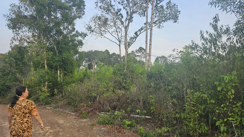 Phu Quoc are 4.024 de hectare de teren, proprietatea fiind ocupată de gospodării, indivizi și comunități care utilizează terenuri fără a li se acorda un certificat de drept de utilizare a terenurilor.