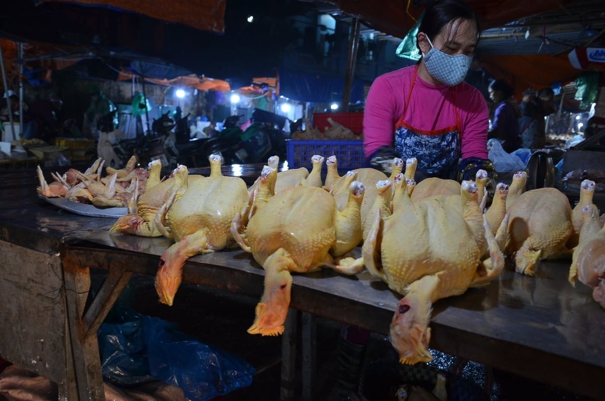Stoisko z kurczakami na nocnym targu. Zdjęcie: Dinh Thanh Huyen.