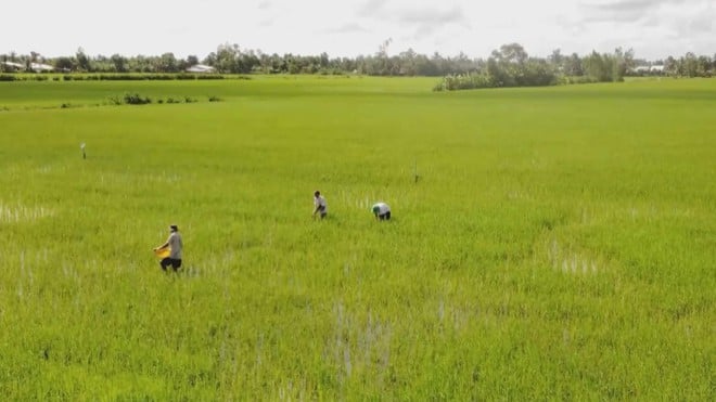 Nước sạch cho nông thôn: Phấn đấu hoàn thành mục tiêu 100% vào năm 2045 - Ảnh 4.