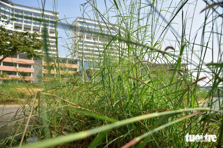 bệnh viện - Ảnh 9.