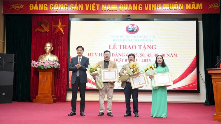 Đảng ủy xã Dương Hòa tổ chức Lễ trao tặng, truy tặng Huy hiệu Đảng đợt 7/11- Ảnh 1.