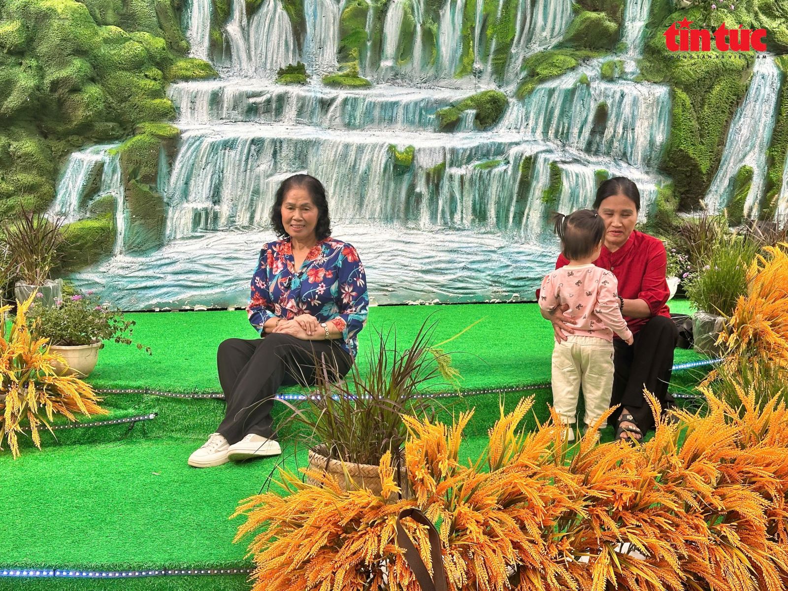 चित्र परिचय