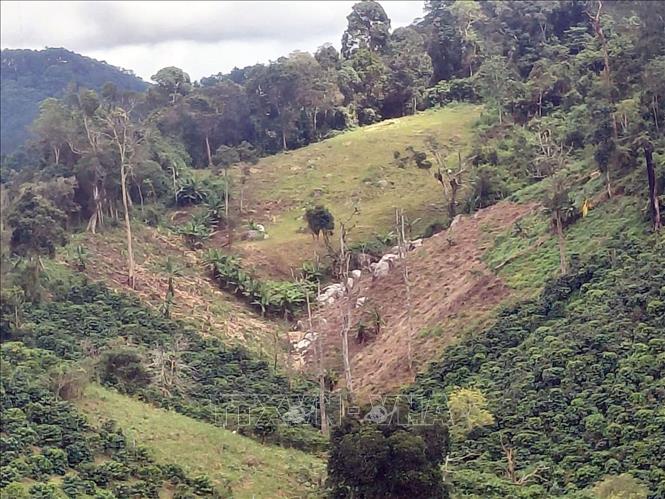 Légende de la photo