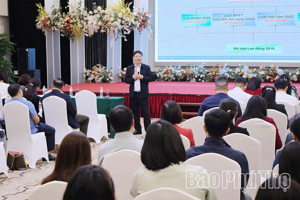 Консультации и диалог по вопросам политики социального страхования