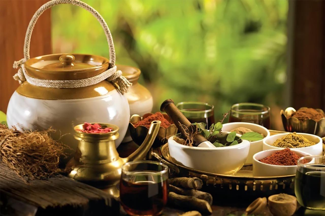 Mezinárodní spolupráce ve výzkumu a zachování tradičních lékařských znalostí - Nevyhnutelný směr pro Vietnam v integrační éře - Foto 3.