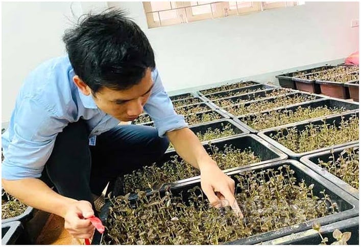 Mezinárodní spolupráce ve výzkumu a zachování tradičních lékařských znalostí - Nevyhnutelný směr pro Vietnam v integrační éře - Foto 4.