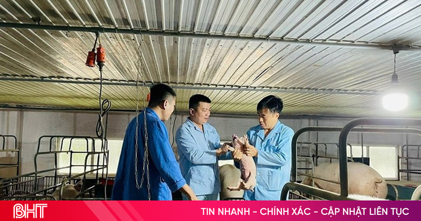 Loạt gói tín dụng hấp dẫn tiếp sức doanh nghiệp dịp cuối năm