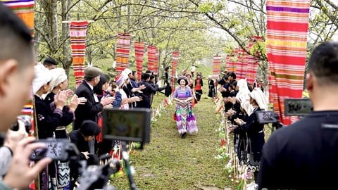 Mencadangkan mekanisme dan dasar yang diperlukan untuk membangunkan industri pelancongan