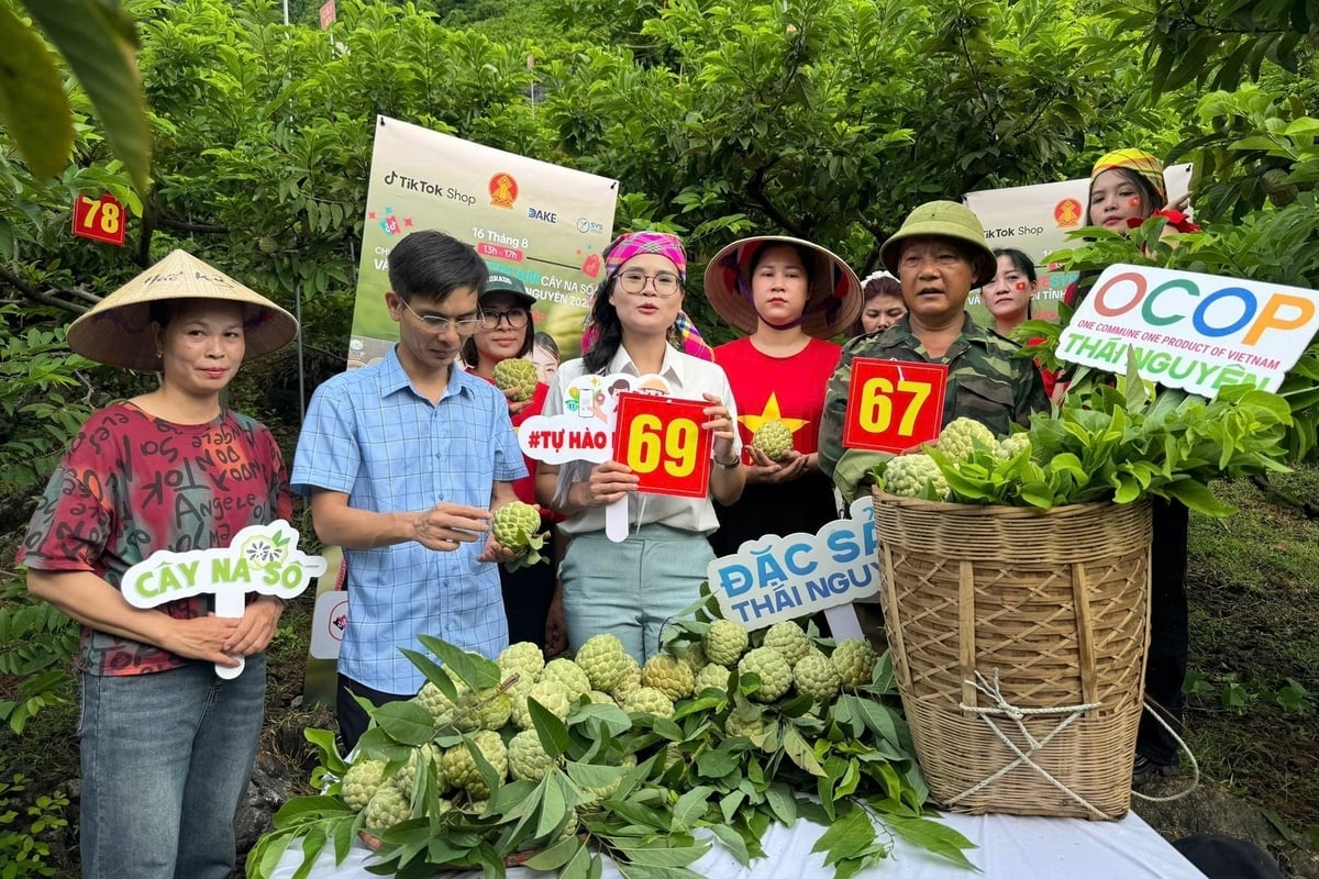 Phiên livestream bán hàng tại vườn na của gia đình ông Kiều Thượng Chất. Ảnh: Quang Linh.