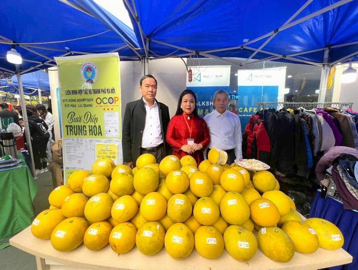 Khu vực trưng bày bưởi OCOP của HTX. Ảnh: NVCC.