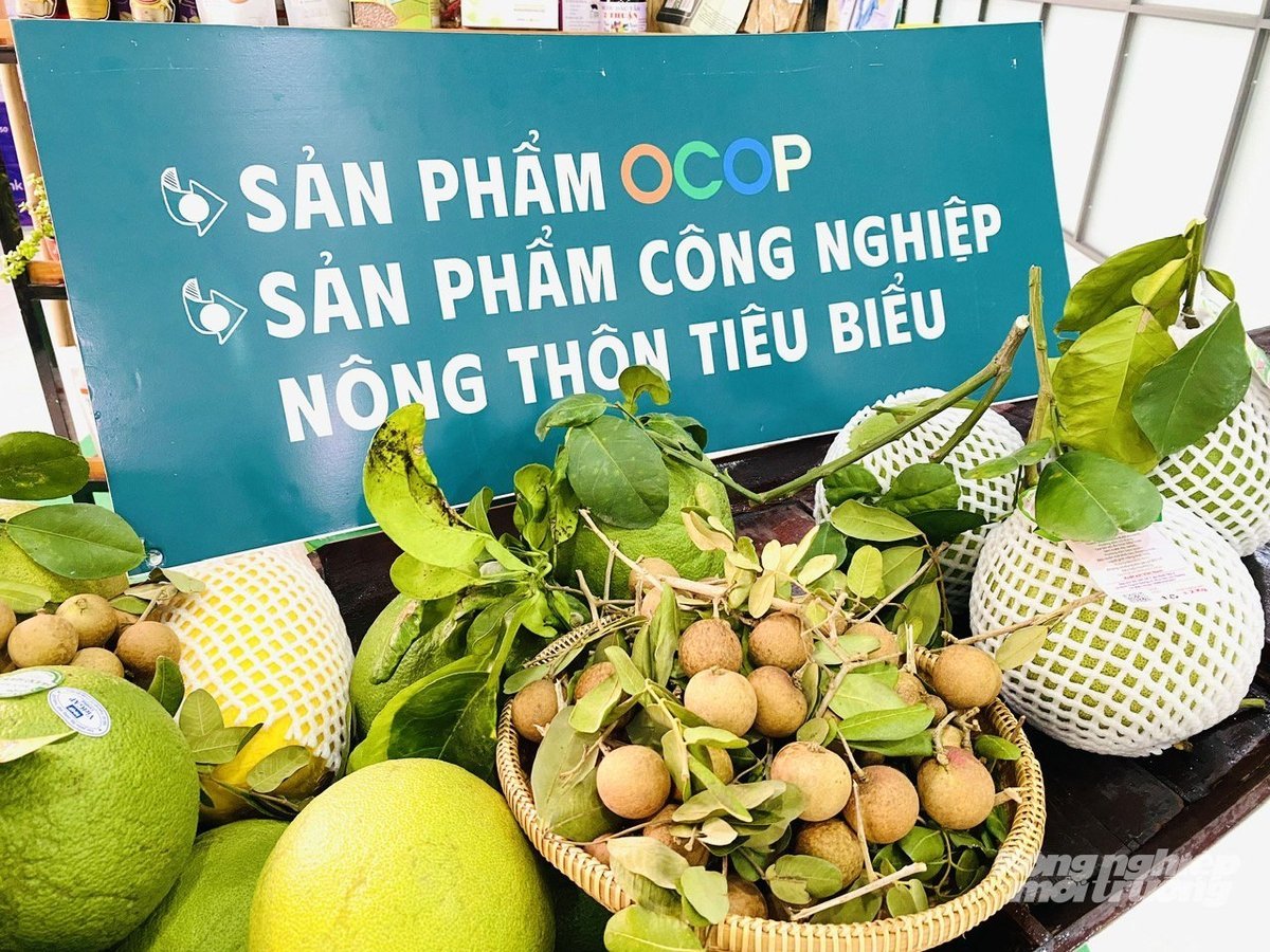 안장 특산 과일과 전형적인 농촌 산업 제품이 메콩 삼각주 OCOP 포럼 2025에 전시되어 있습니다. 사진: 레 황 부. Các loại trái cây đặc sản An Giang và sản phẩm công nghiệp nông thôn tiêu biểu được trưng bày tại Diễn đàn OCOP vùng ĐBSCL năm 2025. Ảnh: Lê Hoàng Vũ.