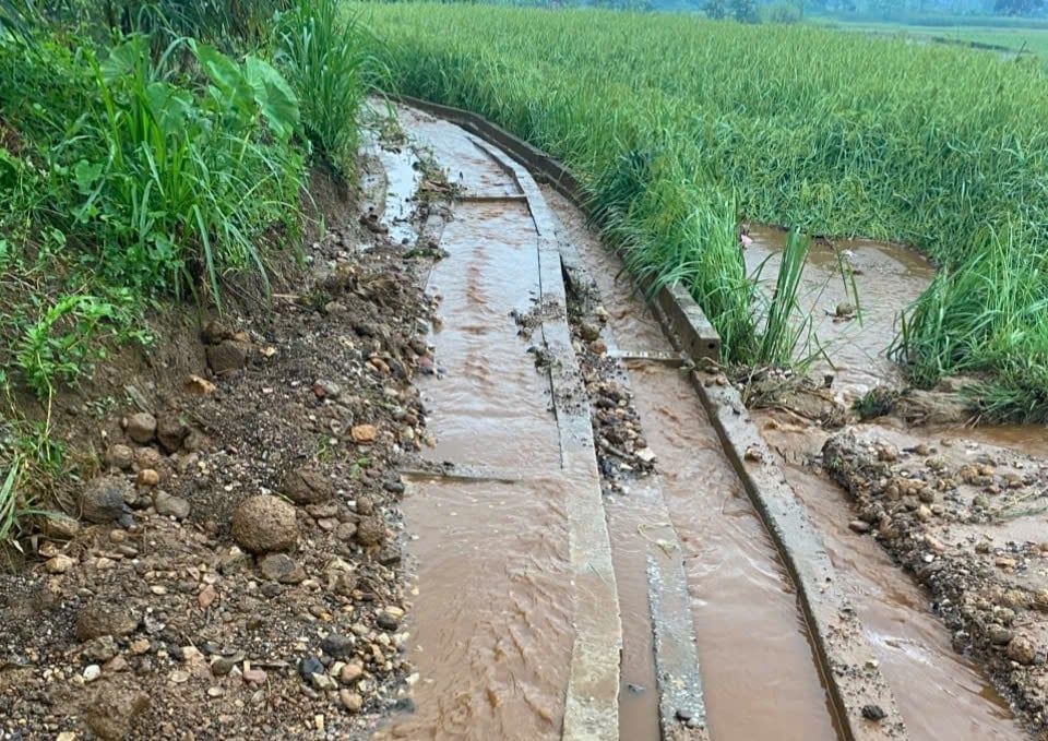 Xã Võ Lao có hàng chục công trình thủy lợi bị ảnh hưởng do mưa lũ. Ảnh: Thanh Tiến.