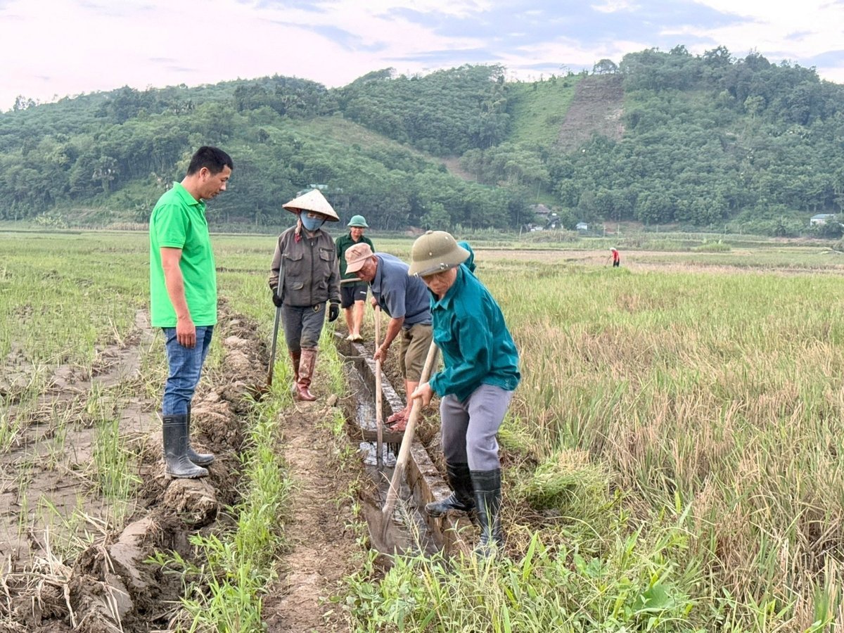 Các lực lượng tại chỗ tham gia tu sửa hệ thống kênh mương để dẫn nước tưới sản xuất vụ Đông Xuân. Ảnh: Thanh Tiến.