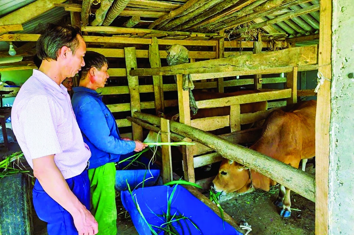 Політичний кредит – підтримка багатьох бідних людей та інших суб'єктів політики в Хатінь Tín dụng chính sách - điểm tựa cho nhiều người dân nghèo và các đối tượng chính sách khác ở Hà Tĩnh