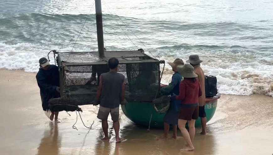 Mieszkańcy An Hoa Hai przenoszą klatki do schronu przeciwburzowego. Zdjęcie: NL. Người dân khu vực An Hòa Hải đang duy chuyển lồng nuôi vào nới tránh trú bão. Ảnh: NL.