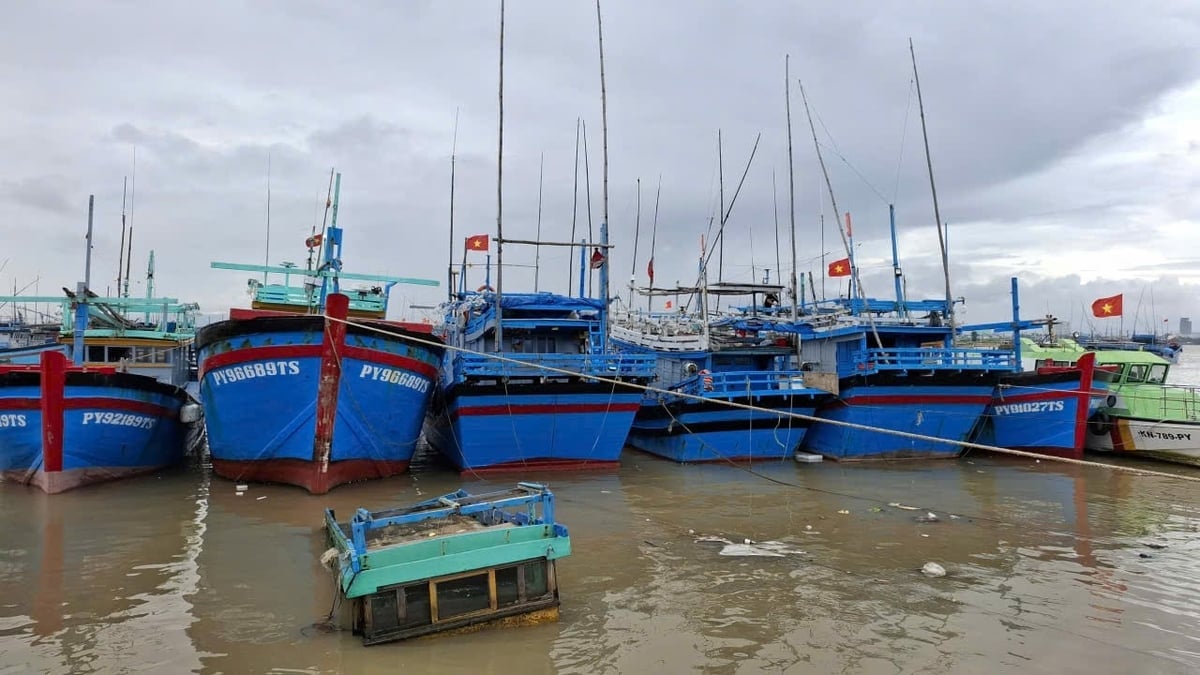 Łodzie rybackie wpływają do portu Dong Tac w okręgu Phu Yen, aby schronić się przed burzą nr 13. Zdjęcie: Manh Hoai Nam. Tàu cá chạy vào khu vực cảng Đông Tác, phường Phú Yên để tránh trú bão số 13. Ảnh: Mạnh Hoài Nam.