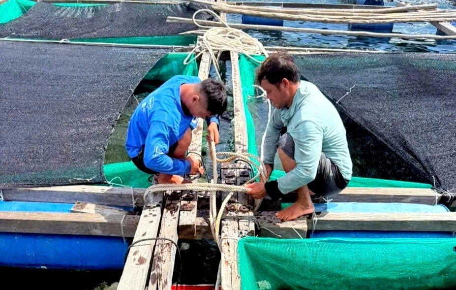 Bà con chằng chống, cột chặt các bè để ứng phó bão số 13. Ảnh: Kim Sơ.