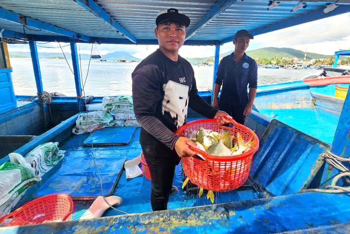 Tôm cá đạt kích cỡ được bán vận chuyển vào bờ tiêu thụ. Ảnh: Kim Sơ.